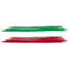 Italy flag