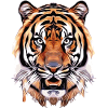 Majestic Tiger – Strength and Elegance
