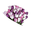 Beau bouquet d'amour pour l'éternité