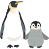 Parent And Child Penguin