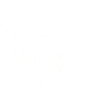 white skull