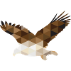 Geometric Eagle