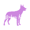 Australian Kelpie