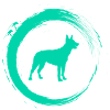 Australian Kelpie