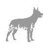Australian Kelpie