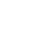 Spinone Italiano