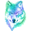Wolf blauw-groen-paars
