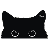 Schwarzer Kater