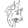 Lynx (black strokes)
