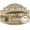 Lion - Safari - Africa