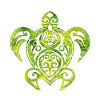Turtle animal