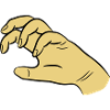 Griffe de la main
