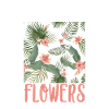Tropical Flowers Tropical Flower Plants
