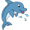 Dolphin with water drops