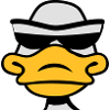Duck sunglasses cool