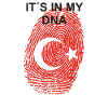 Türkei Türke Türkische Fahne Flagge