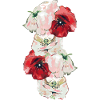 poppies