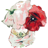 poppies