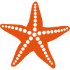 Starfish