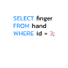 Funny SQL Middle Finger Developer