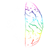 Brain Neurology