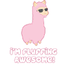 Cool Llama