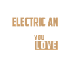 elektriker