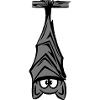 bat hanging