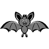 Bat drôle douce
