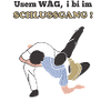 Schwingen Schwinger Übersprung