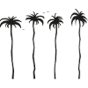 tropical palm trees