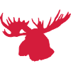 elch - moose - elk - kanada - canada