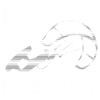 Ich bin ein Kitesurfer