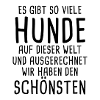 Der schönste Hund