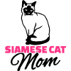 Siamkatze