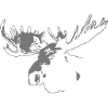 moose - elk - hunting - hunter