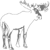 moose - elk - hunting - hunter