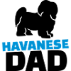 Havanese Dad