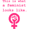 Feminism