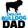 English Bulldog Dad