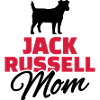 Jack Russell