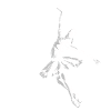 ballet