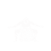 Sumo