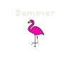 Flamingo Premium Shirt