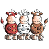 Funny Colourful Cows