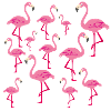 flamant