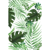 Tropical 2
