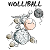 Wolliball - Volleyball