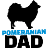 Pomeranian Dad