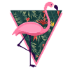 Flamingo Tropical